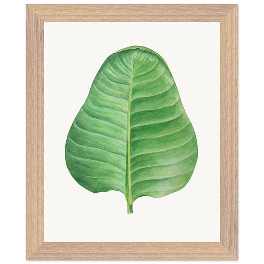 1f49f542-1d9b-4d9a-bb9d-8e8006a93853