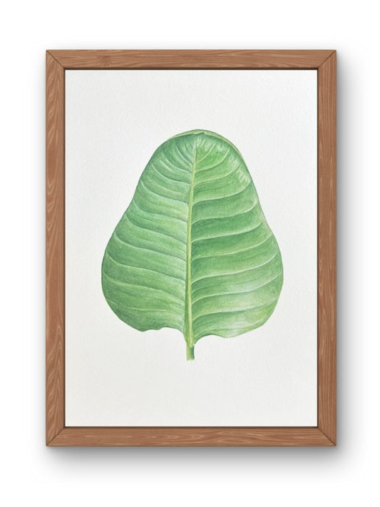 New! Paradise Leaf (Print)