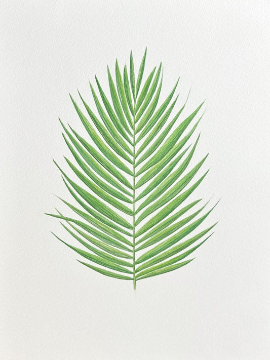 New! Palm Leaf (Print)