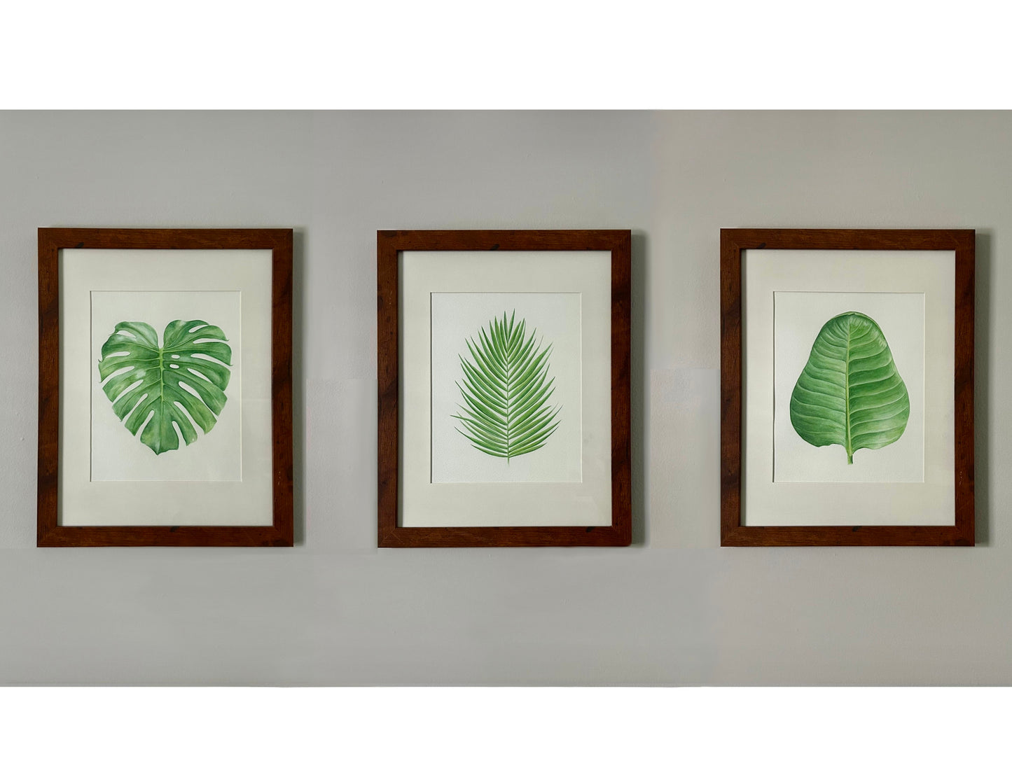 New! Monstera Leaf (Print)