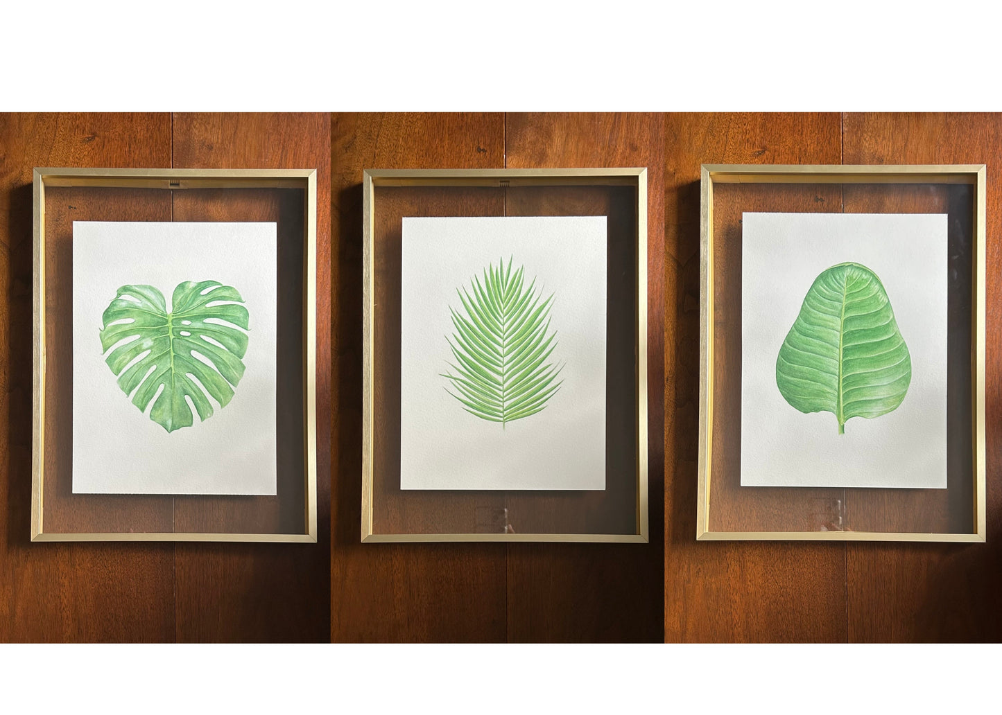 New! Monstera Leaf (Print)